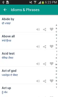 Word book English to Punjabi android App screenshot 2